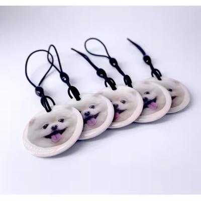 comprar Etiquetas RFID personalizadas e imprimibles Etiqueta NFC epoxi pasiva a prueba de inclemencias meteorológicas online manufacture